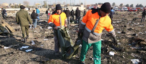 ირანში უკრაინულმა ავიალაინერმა კატასტროფა განიცადა - Sputnik საქართველო