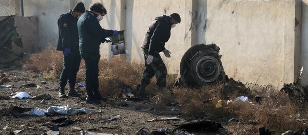 Спасатели на месте крушения самолета в Иране - Sputnik Грузия