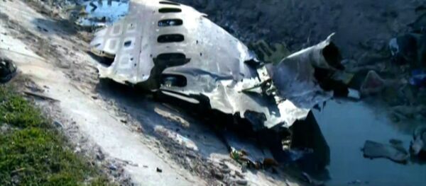 На месте крушения украинского лайнера в Иране работают спасатели: никто не выжил - Sputnik Грузия