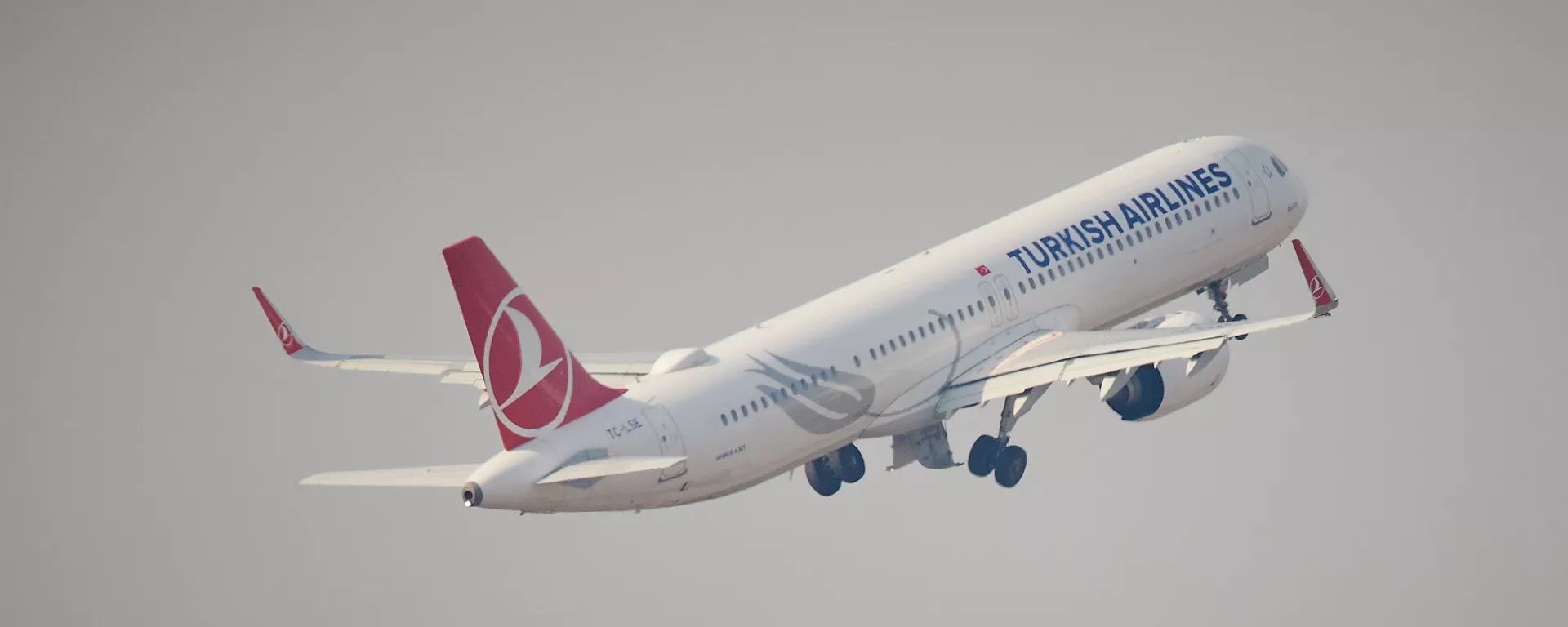 ავიაკომპანია Turkish Airlines - Sputnik საქართველო, 1920, 03.02.2021