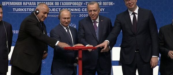 Турецкий поток вошел в строй: Путин и Эрдоган запустили работу газопровода - Sputnik Грузия