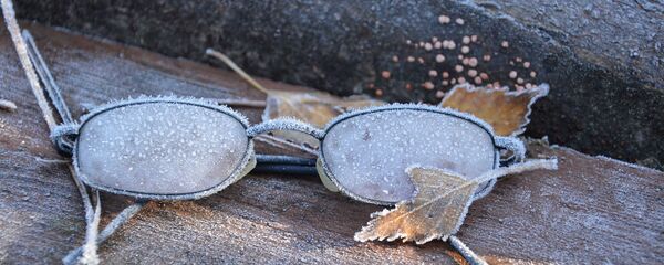 დათრთვილული სათვალე  - Sputnik საქართველო