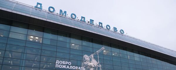 Пассажиры у терминала аэропорта Домодедово - Sputnik Грузия