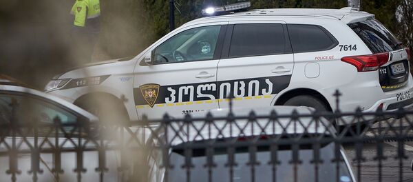 საპატრულო პოლიცია საპატრულო პოლიცია - Sputnik საქართველო