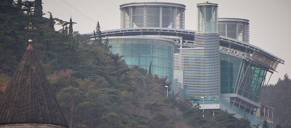 ივანიშვილის რეზიდენცია ივანიშვილის რეზიდენცია - Sputnik საქართველო