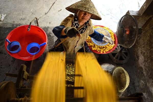 Вьетнамская женщина во время изготовления шелковых нитей  - Sputnik Грузия