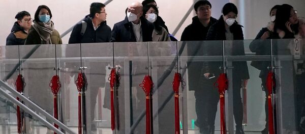 შანხაის აეროპორტში შანხაის აეროპორტში - Sputnik საქართველო