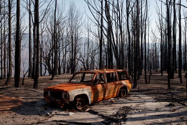 В Австралии в результате природных пожаров выгорели миллионы гектаров земли. На фото сгоревшая машина в Долине Кенгуру  - Sputnik Грузия