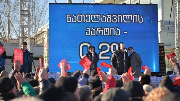 Акция протеста Альянс патриотов. 26 января 2020 - Sputnik Грузия
