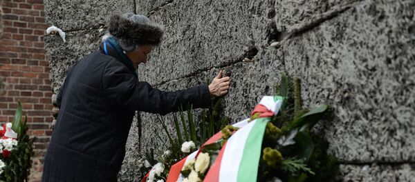 70-летие освобождения концентрационного лагеря Аушвиц-Биркенау - Sputnik Грузия