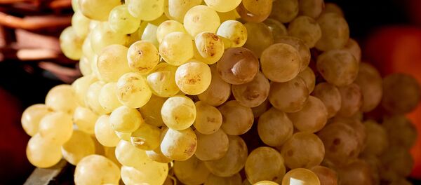 Белый виноград в уличной лавке - Sputnik Грузия