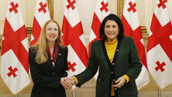 Новый посол США Келли Дегнан вручила верительные грамоты президенту Грузии Саломе Зурабишвили - Sputnik Грузия