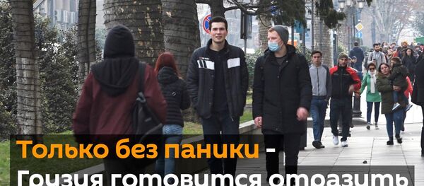 Только без паники - Грузия готовится отразить атаку коронавируса - Sputnik Грузия