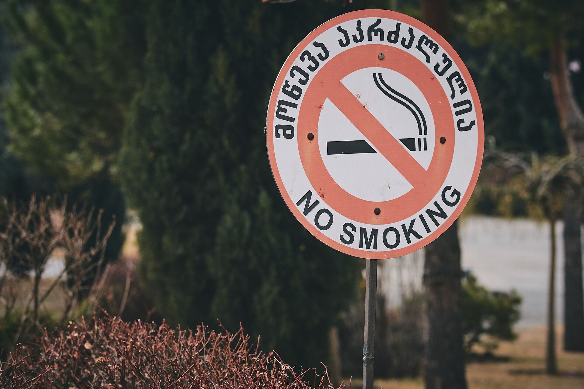 Запрет на курение в парке. Табличка с надписью Не курить! - Sputnik Грузия, 1920, 31.05.2022