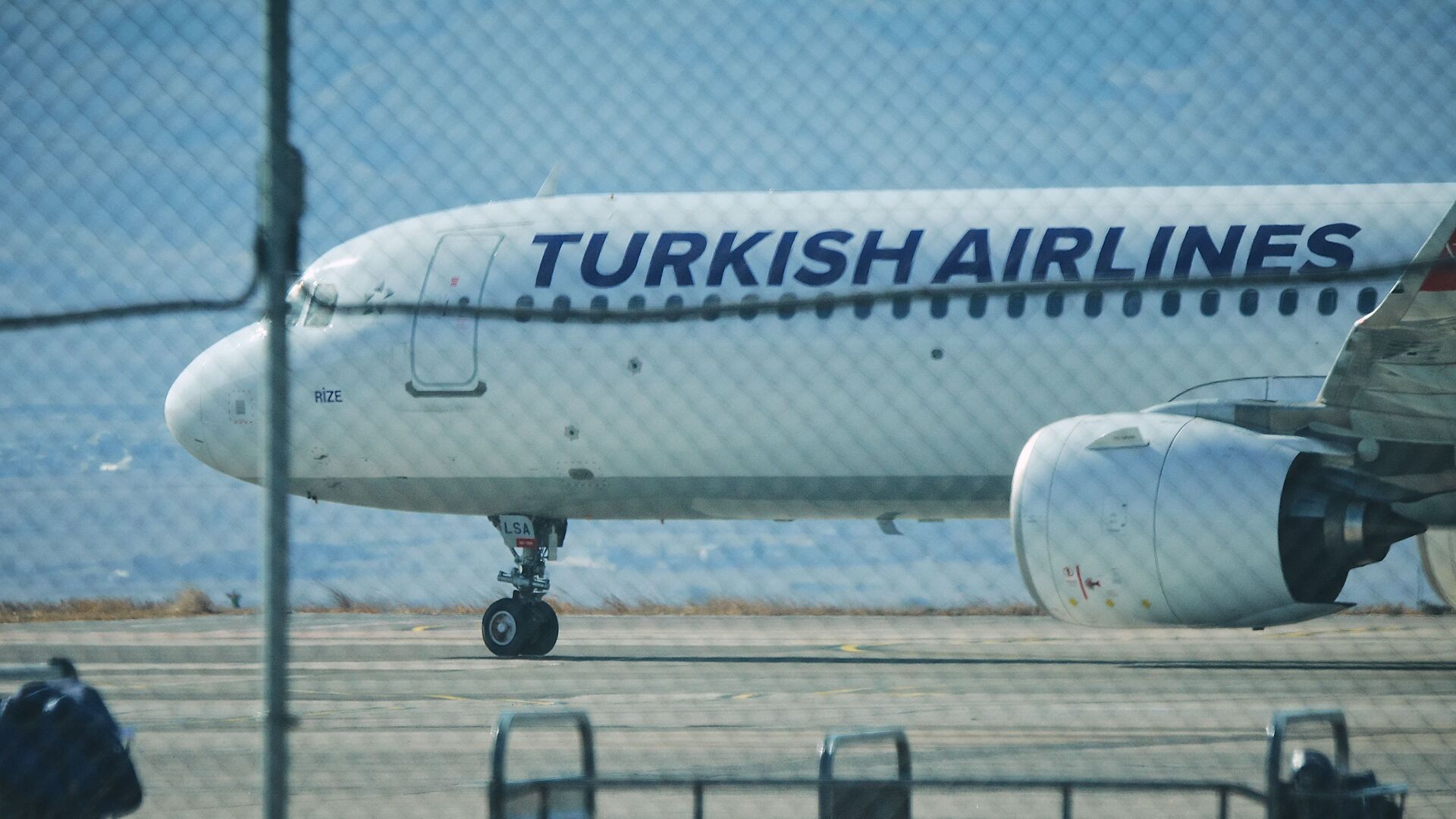 Самолет турецкой авиакомпании Turkish Airlines в тбилисском аэропорту  - Sputnik Грузия, 1920, 11.10.2022