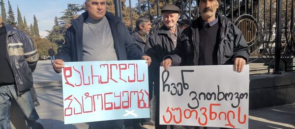 Акция протеста бывших сотрудников компании Фронтера Акция протеста бывших сотрудников компании Фронтера - Sputnik Грузия
