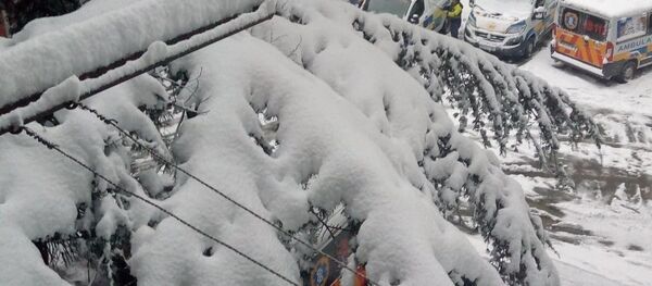 პირველი თოვლი ბათუმში პირველი თოვლი ბათუმში - Sputnik საქართველო