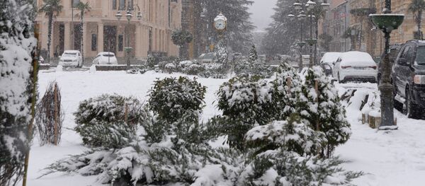 Зимний Батуми в снегу. Как выглядят заснеженные центральные улицы города в мороз - Sputnik Грузия