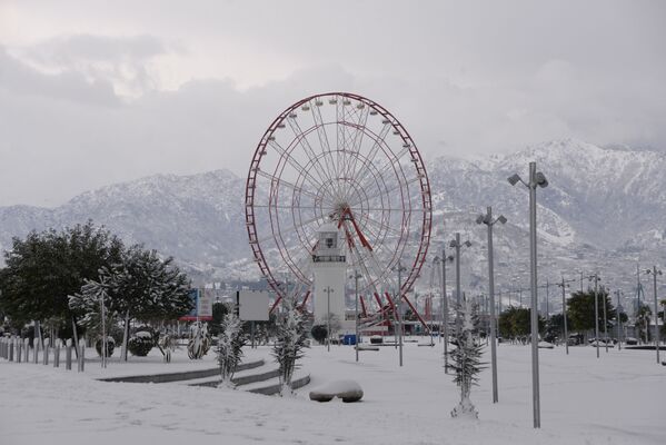 Увидеть популярный черноморский курорт в объятиях снегопада - событие редкое - Sputnik Грузия