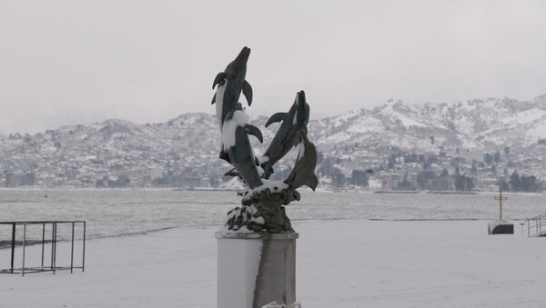 Зимний Батуми в снегу. Статуя с дельфинами на заснеженном берегу Черного моря - Sputnik Грузия