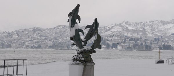 Зимний Батуми в снегу. Статуя с дельфинами на заснеженном берегу Черного моря - Sputnik Грузия