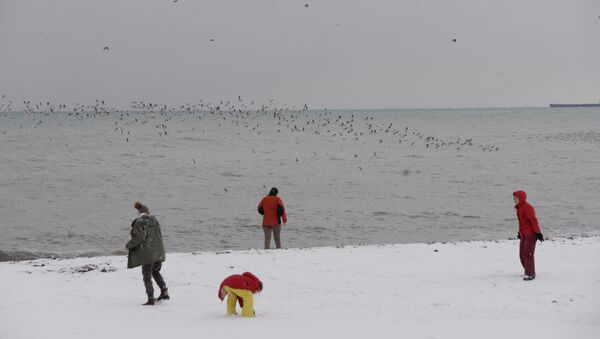 Зимний Батуми в снегу. Дети играют в снежки на берегу Черного моря. Чайки летят над водой - Sputnik Грузия