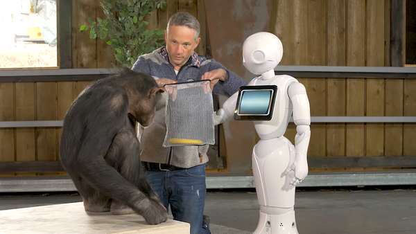 Иллюзионист показал шимпанзе фокусы и робота – видео его забавных реакций - Sputnik Грузия
