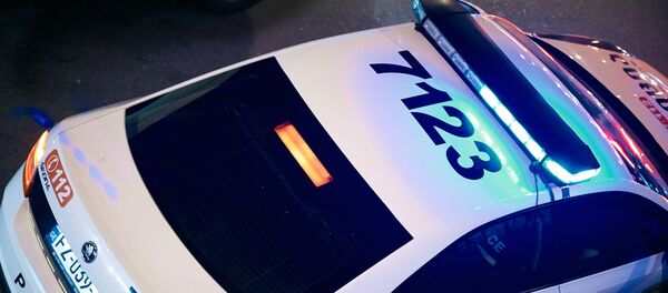 საპატრულო პოლიცია საპატრულო პოლიცია - Sputnik საქართველო