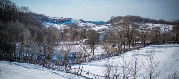 Село Мандаети Имеретский район - Sputnik Грузия
