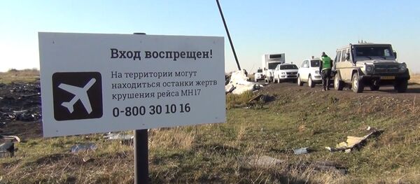 ინტერნეტში MH17-ის ჩამოვარდნის საქმის ახალი დოკუმენტები გამოჩნდა ინტერნეტში MH17-ის ჩამოვარდნის საქმის ახალი დოკუმენტები გამოჩნდა - Sputnik საქართველო