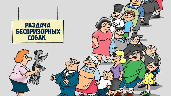 Раздача беспризорных собак - карикатура - Sputnik Грузия
