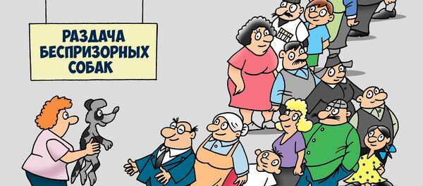 Раздача беспризорных собак - карикатура - Sputnik Грузия