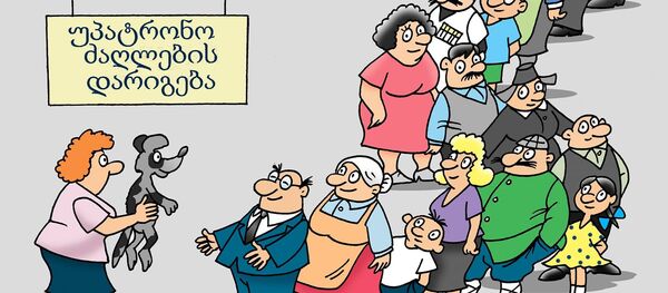 უპატრონო ძაღლების დარიგება უპატრონო ძაღლების დარიგება - Sputnik საქართველო