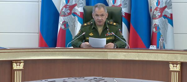 Шойгу объявил о формировании в РФ новой дивизии ПВО в Арктике - Sputnik Грузия