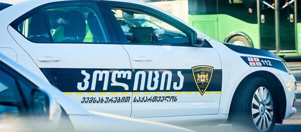 საპატრულო პოლიცია საპატრულო პოლიცია - Sputnik საქართველო