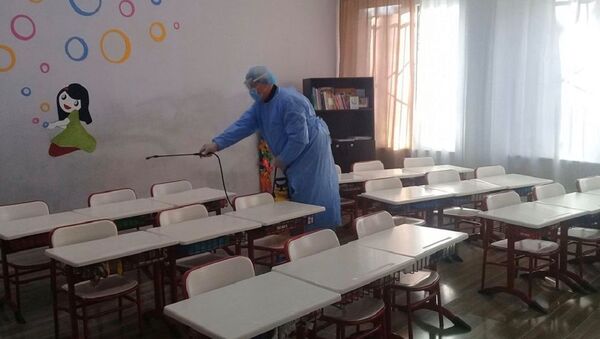 В Грузии проводится дезинфекции школ из-за коронавируса - Sputnik Грузия