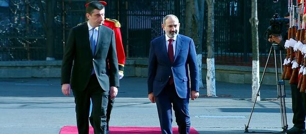 официальный визит премьер-министра Армении Никола Пашиняна в Грузию - Sputnik Грузия