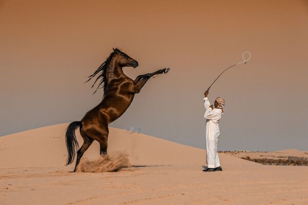 Снимок Движение лошади саудовского фотографа Аббаса Алхамиса, победивший в номинации Национальные награды конкурса Sony World Photography Awards - Sputnik Грузия