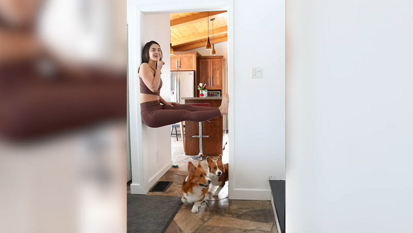 Девушка придумала забавный розыгрыш для невысоких собак – видео - Sputnik Грузия
