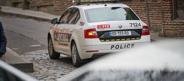 Патрульная полиция - Sputnik Грузия