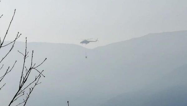 Вертолет тушит пожар в Амбролаури - Sputnik Грузия