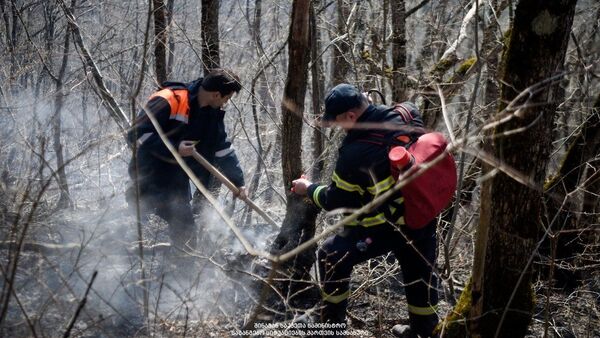 Тушение лесного пожара в Грузии - Sputnik Грузия