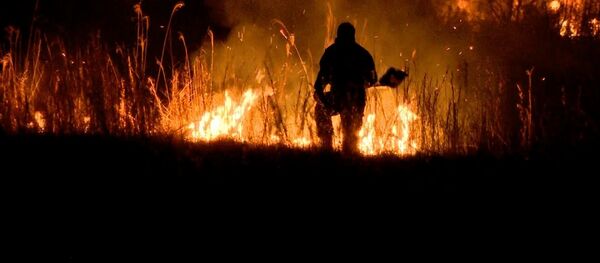 Грузия охвачена лесными пожарами: видео тушения пожара в Кобулети - Sputnik Грузия