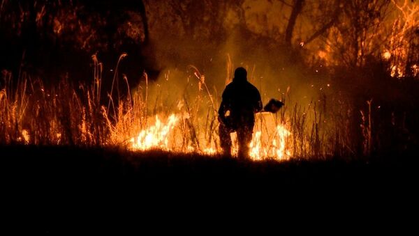 საქართველო ტყის ხანძრებმა მოიცვა: ქობულეთში ცეცხლის ჩაქრობის კადრები - Sputnik საქართველო