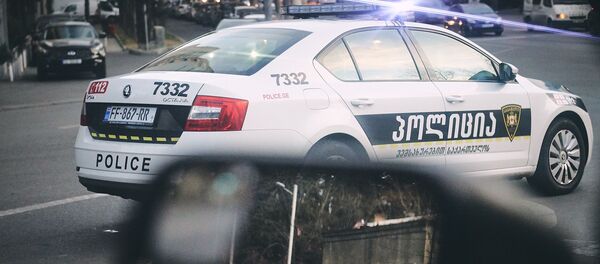 Патрульная полиция - Sputnik Грузия