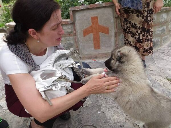 კლასგარეშე საკითხავი მასწავლებლებისთვის – „მრცხვენია, რომ საქართველოში ქართული არ ვიცი“ კლასგარეშე საკითხავი მასწავლებლებისთვის – „მრცხვენია, რომ საქართველოში ქართული არ ვიცი“ - Sputnik საქართველო