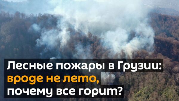 Лесные пожары в Грузии: вроде не лето, почему все горит? - Sputnik Грузия