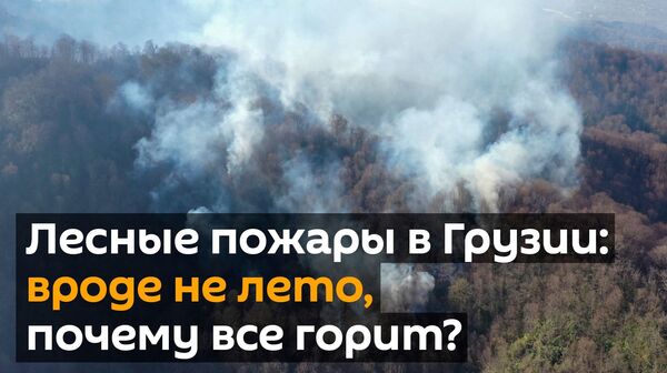 Лесные пожары в Грузии: ситуация постепенно выправляется, но медленно Лесные пожары в Грузии: ситуация постепенно выправляется, но медленно - Sputnik Грузия