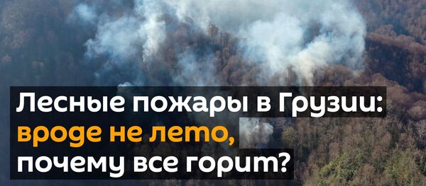 Лесные пожары в Грузии: вроде не лето, почему все горит? - Sputnik Грузия