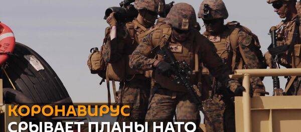 НАТО отменяет международные военные учения из-за коронавируса - Sputnik Грузия